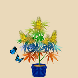 NFTokin #4073