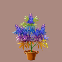 NFTokin #6722