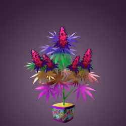 NFTokin #2737