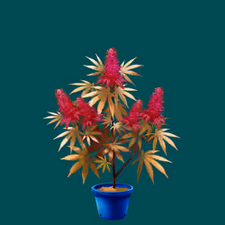 NFTokin #890