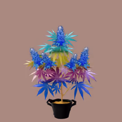 NFTokin #12316