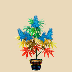 NFTokin #1705