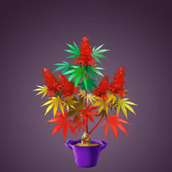 NFTokin #192