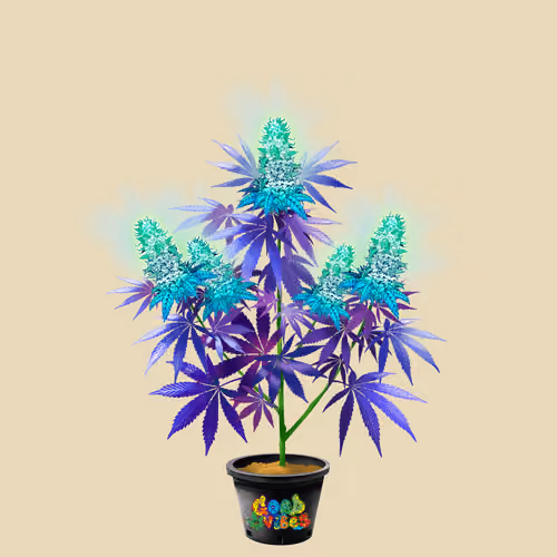 NFTokin #7320