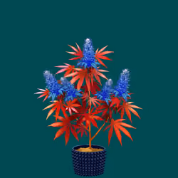 NFTokin #6587
