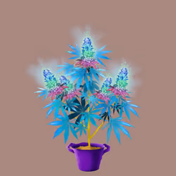 NFTokin #7256