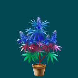 NFTokin #6463