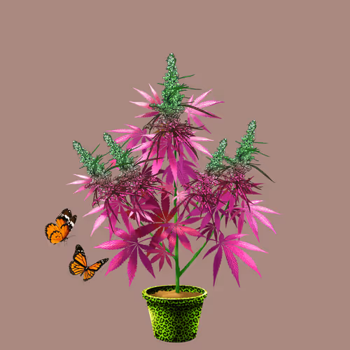 NFTokin #8856