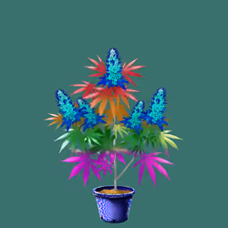 NFTokin #8266