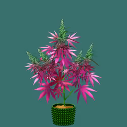 NFTokin #10411