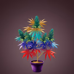 NFTokin #10715