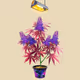 4110