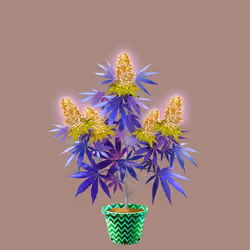 NFTokin #3682