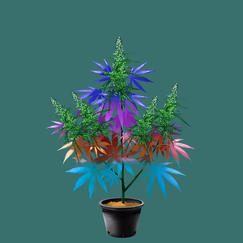NFTokin #11789