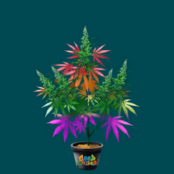 NFTokin #8479