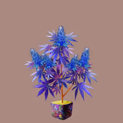 NFTokin #637