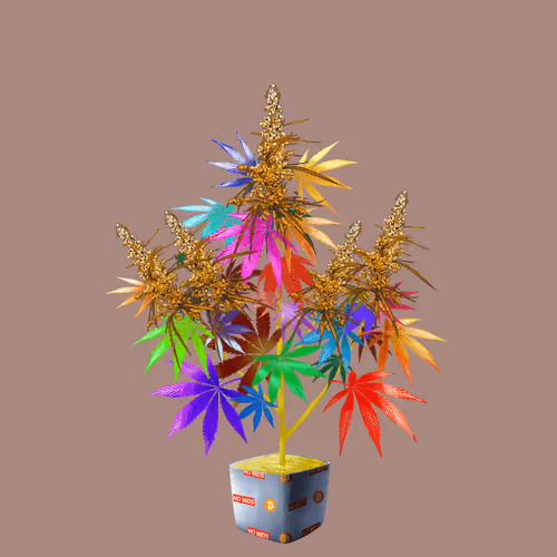 NFTokin #12048