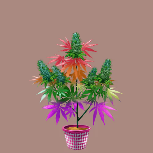 NFTokin #7511