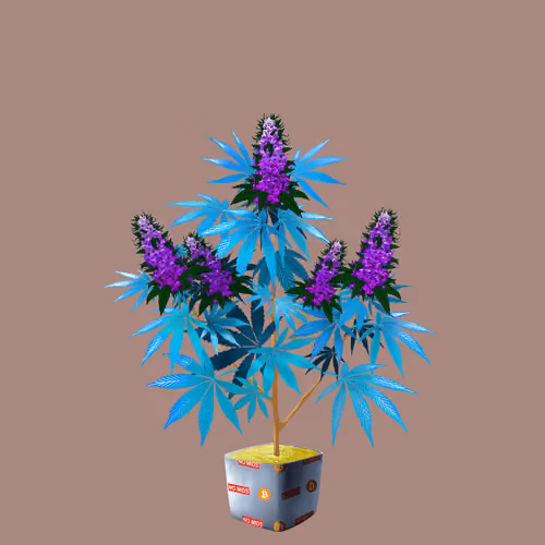 NFTokin #3118