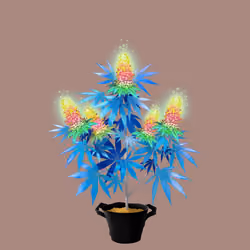 NFTokin #11292