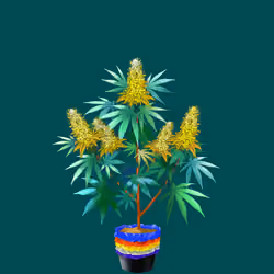 NFTokin #4825