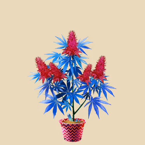 NFTokin #9182