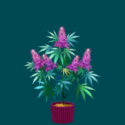 NFTokin #6647