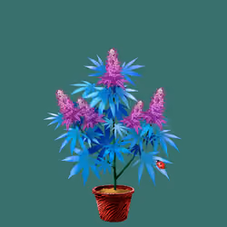 NFTokin #12754