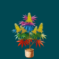 NFTokin #8539
