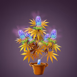 NFTokin #9208