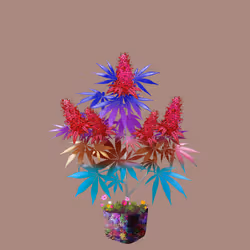 NFTokin #6138