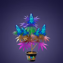 NFTokin #2627