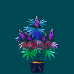 NFTokin #9019