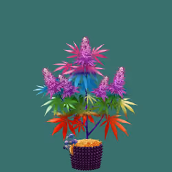 NFTokin #5227