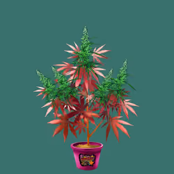 NFTokin #9192