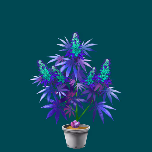 NFTokin #8709