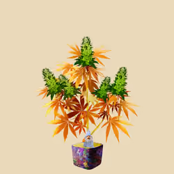 NFTokin #4100