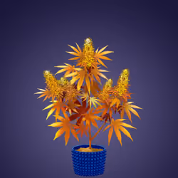 NFTokin #5130