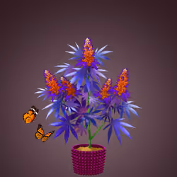 NFTokin #5811
