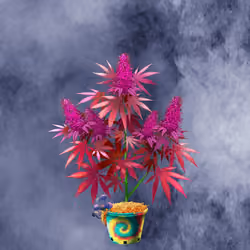 NFTokin #1497