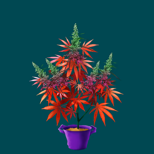 NFTokin #8752