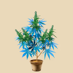 NFTokin #8538
