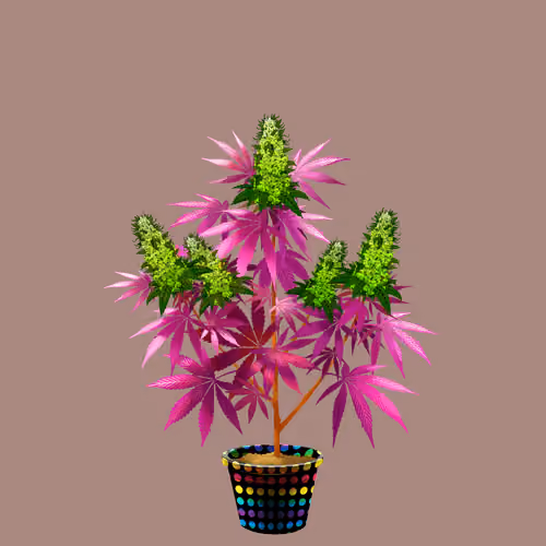 NFTokin #8484