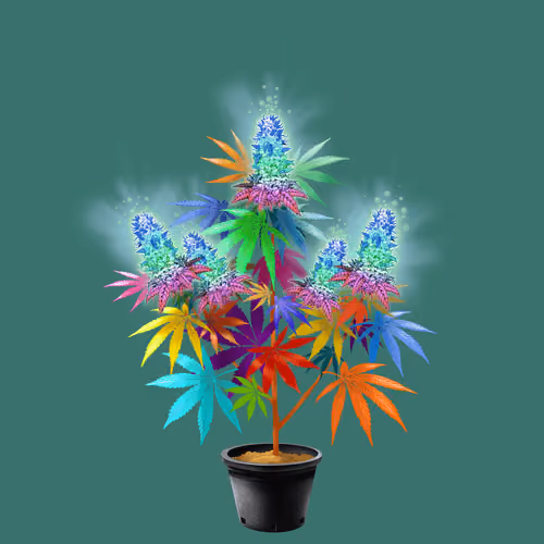 NFTokin #6794