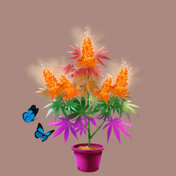 NFTokin #5295