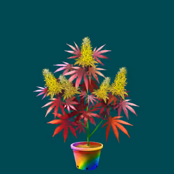NFTokin #2965