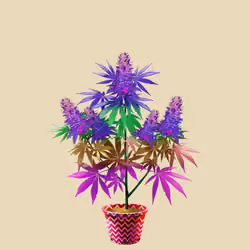 NFTokin #1641