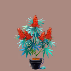 NFTokin #2726