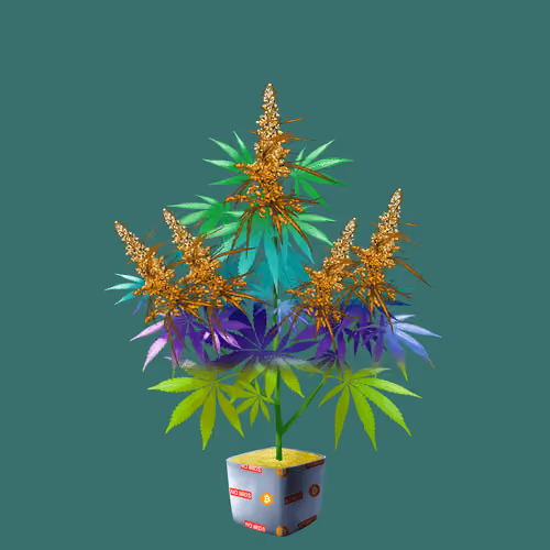 NFTokin #11445