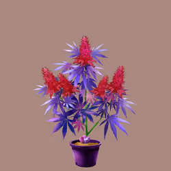 NFTokin #12575